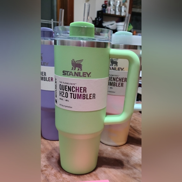 Stanley 30 oz Quencher Tumbler Limited Edition Target FEATHER GREEN - Picture 1 of 7